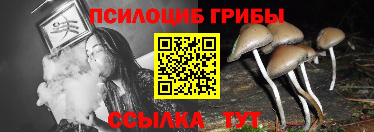 цена   Псилоцибиновые грибы Magic Shrooms  Вход с VPN  Галлюциногенные грибы Psilocybe  Прокопьевск 